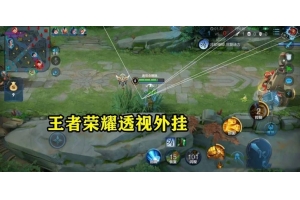 王者荣耀国际服透视发卡网-王者荣耀国际服透视外挂使用技巧与下载方法全解析（王者荣耀透视批卡）