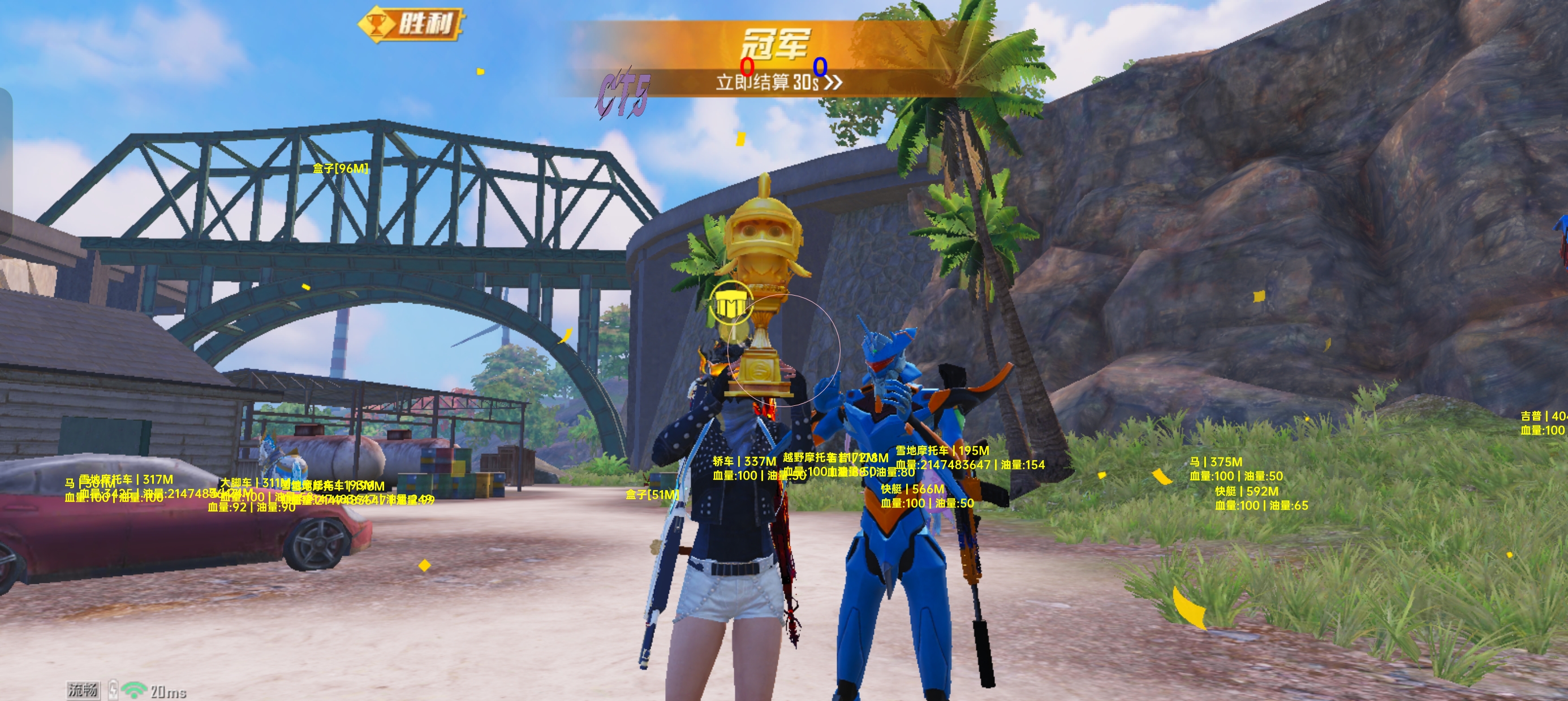 和平精英花木兰辅助攻略：山谷高点封锁视野，团队配合